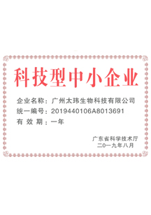 榮譽(yù)證書(shū)01